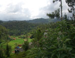 Hills of South India