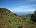Hills of South India
