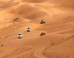 Dazzling Dubai