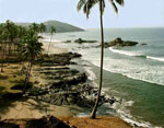 Go to Goa Round the Year