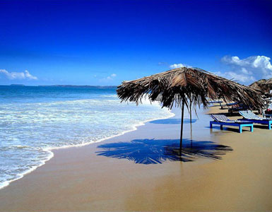 Go to Goa Round the Year