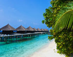 Go to Goa Round the Year