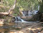 Madhya Pradesh
