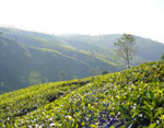 Sri Lanka Highlights
