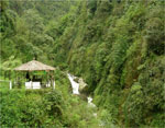 Eastern Himalayas