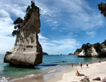 Natural New Zealand
